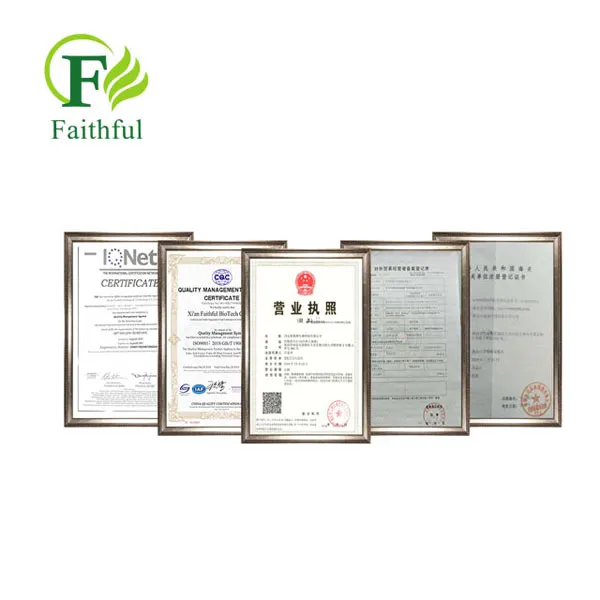 Chymotrypsin Powder CAS 9004-07-3