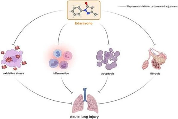 Edaravone API Powder Edaravone API Powder